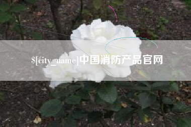 自贡中国消防产品官网