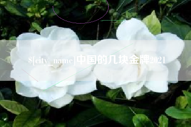 自贡中国的几块金牌2021