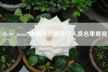 自贡中国失信被执行人员名单查询