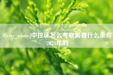 自贡中控证怎么考取需要什么条件2024年的