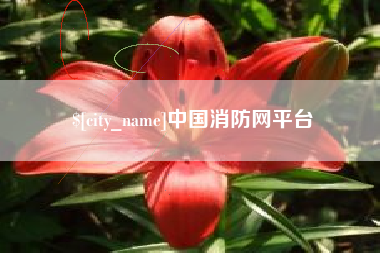 自贡中国消防网平台