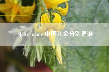 自贡中国九金分别是谁