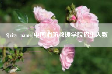 自贡中国消防救援学院招生人数