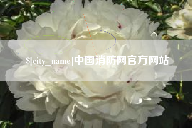 自贡中国消防网官方网站