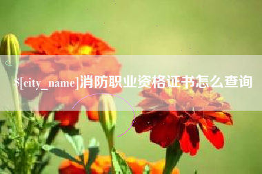 自贡消防职业资格证书怎么查询