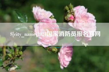 自贡2021国家消防员报名官网