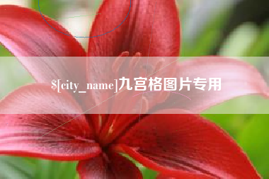 自贡九宫格图片专用