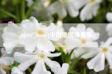 自贡中国地图像素版