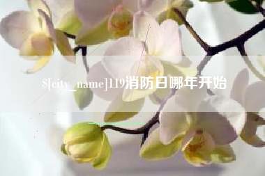 自贡119消防日哪年开始
