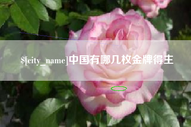 自贡中国有哪几枚金牌得主