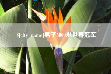 自贡男子5000米世界冠军