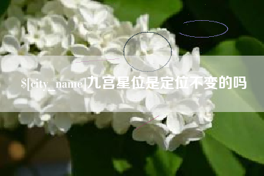 自贡九宫星位是定位不变的吗