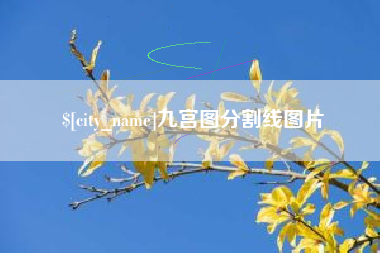 自贡九宫图分割线图片