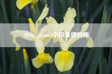 自贡中国金牌包括