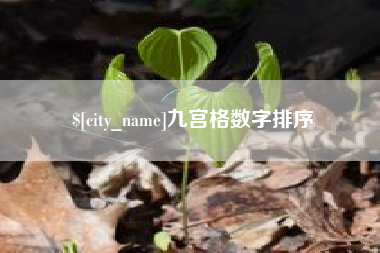 自贡九宫格数字排序