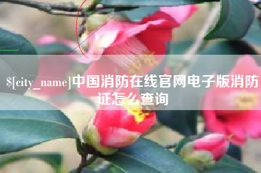 自贡中国消防在线官网电子版消防证怎么查询