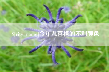 自贡今年九宫格的不利颜色