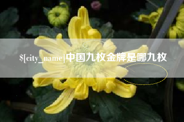 自贡中国九枚金牌是哪九枚