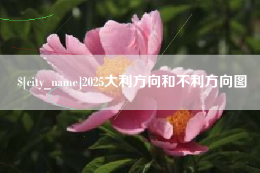 自贡2025大利方向和不利方向图