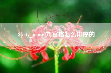 自贡九宫格怎么排序的