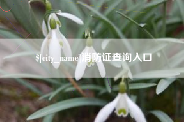 自贡消防证查询入口