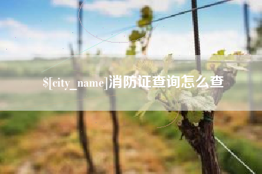 自贡消防证查询怎么查