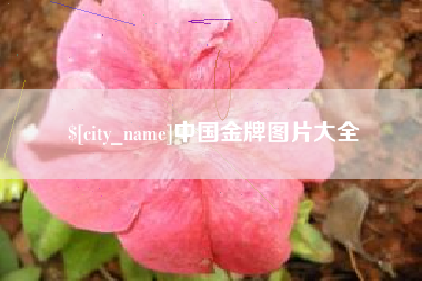 自贡中国金牌图片大全
