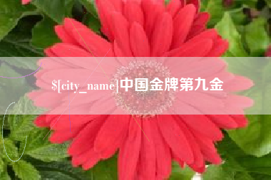 自贡中国金牌第九金