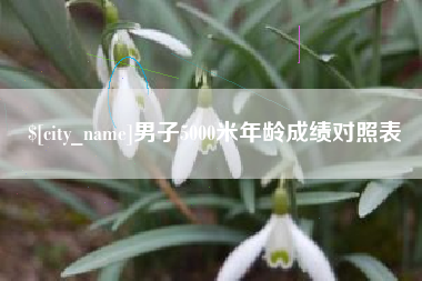 自贡男子5000米年龄成绩对照表