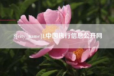 自贡1.中国执行信息公开网