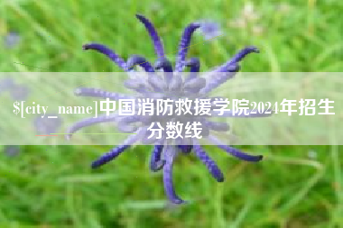 自贡中国消防救援学院2024年招生分数线
