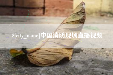 自贡中国消防现场直播视频