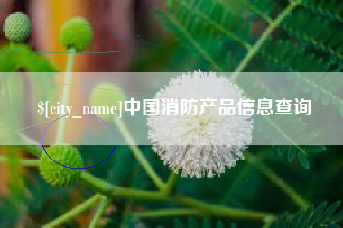 自贡中国消防产品信息查询
