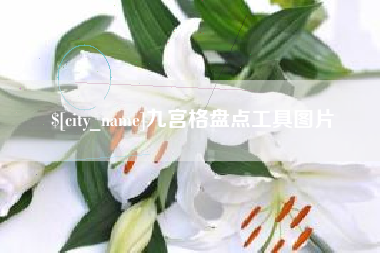 自贡九宫格盘点工具图片