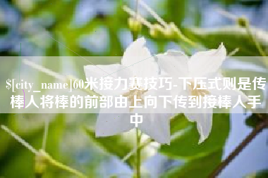 自贡60米接力赛技巧-下压式则是传棒人将棒的前部由上向下传到接棒人手中