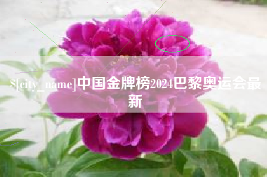 自贡中国金牌榜2024巴黎奥运会最新