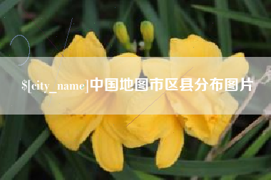 自贡中国地图市区县分布图片