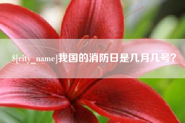 自贡我国的消防日是几月几号？