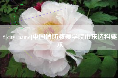 自贡中国消防救援学院山东选科要求