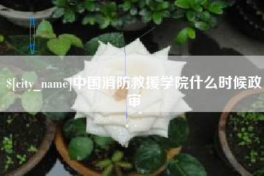 自贡中国消防救援学院什么时候政审