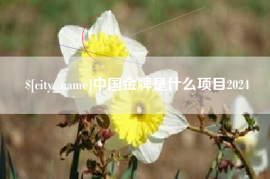 自贡中国金牌是什么项目2024