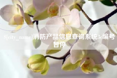 自贡消防产品信息查询系统3c编号暂停