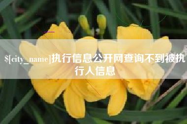 自贡执行信息公开网查询不到被执行人信息
