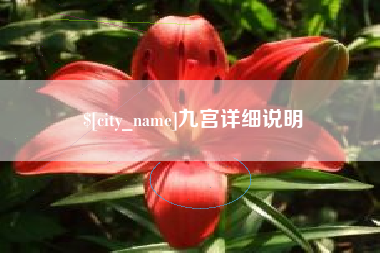 自贡九宫详细说明