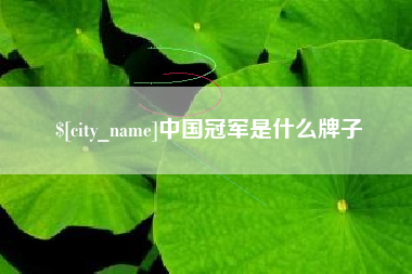自贡中国冠军是什么牌子