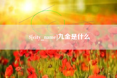 自贡九金是什么