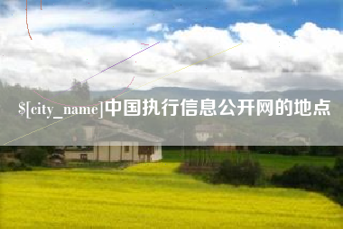 自贡中国执行信息公开网的地点