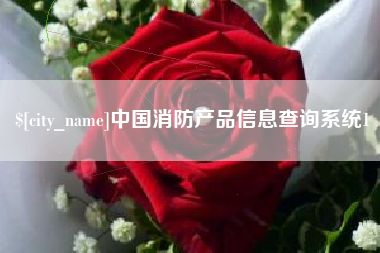 自贡中国消防产品信息查询系统1