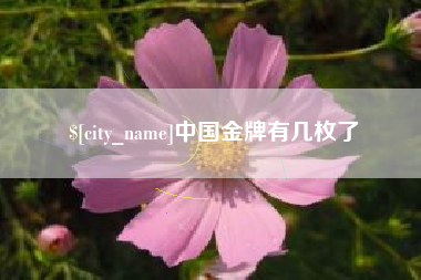 自贡中国金牌有几枚了