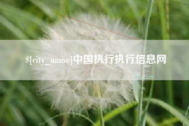 自贡中国执行执行信息网